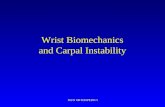Wrist biomechanics