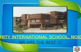 Amity international school ppt