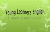 Young learners english