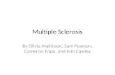Multiple Sclerosis Recovery