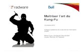Maitriser l'art du kung fu cqsi2010