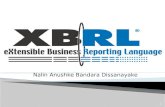 XBRL for Beginners
