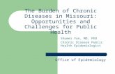 The Burden of Chronic Diseases in Missouri: Opportunities and ...