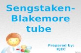 Sengstaken blakemore tube