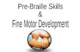 Pre Braille Skills And Fine Motor Development