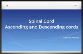 9 spinal cord and tracts 8:5:13