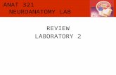 Anat 321 Review Lab 2