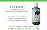 Fulvic Bloom2 Power Point
