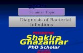 Bacterial infection (by shakira)