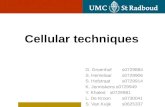 Cellular Techniques