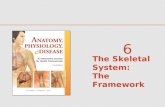Survey of Anatomy and Physiology Chapter 6