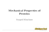 Mechanical Properties of Collagen Molecule