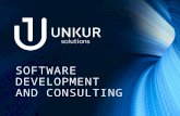 Software development and consulting