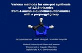 J. Bukowczan - Various methods for one pot synthesis of triazoles from quinolinesulfonamides with propargyl group