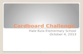 Cardboard challenge