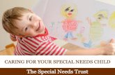 Caring for Your Special Needs Child: The Special Needs Trust