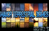 Major terrestrial biomes