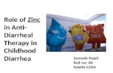 Zinc in Treatment of Diarrhoea in Children