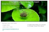 Understanding Social Media for Impact