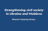 Kherson Steering Group