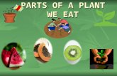 Parts of a plant we eat