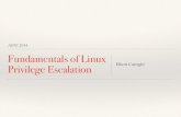 Aide 2014 - Fundamentals of Linux Privilege Escalation