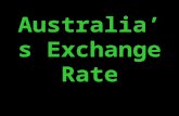 Understanding the Exchange Rate