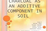 Charcoal as an Additive Component in Soil