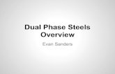 Dual phase steels (1)