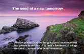 The Seed Of A New Tomorrow Ppt 09