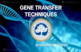 Gene transfer (2)