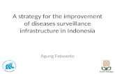 A strategy for the improvement of diseases surveillance infrastructure