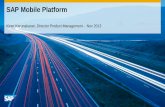 Autodesk Technical Webinar: SAP Mobile Platform