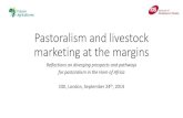 Pastoralism and livestock marketing at the margins