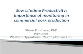Dr. Steve Pollmann - Sow lifetime productivity: Importance of monitoring in commercial pork production