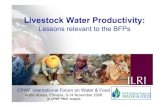 Livestock Water Productivity: Lessons relevant to the BFPs