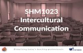 Intercultural Communication week 2