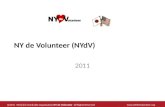 NY de Volunteer Overview 2011