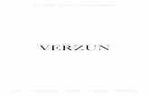 Verzun Company Profile 2011