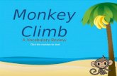 Monkey climb Reg