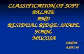 classification of soft palate and residual ridge