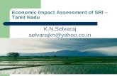 0871 Economic Impact Assessment of SRI in Tamil Nadu