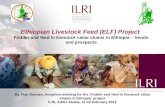 Ethiopian livestock feed (ELF) project: Fodder and feed in livestock value chains in Ethiopia