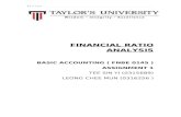 Financial ratio analysis (2)