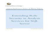 Extending Role Security in Analysis Services for SQL Server