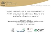 Sheep value chains in Menz Gera district, North Shewa Zone, Ethiopia: Results of a rapid value chain assessment