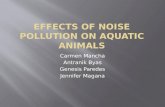 Effects Of Noise Pollution On Aquatic Animals