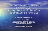 Infec control measures in icu day in life of bacterium-mgh