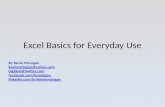 Excel basics for everyday use