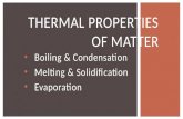 Thermal properties.ppt